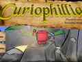 Ойын Сuriophillia