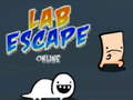 Ойын Lab Escape Online
