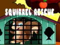 Ойын Squirrel Rescue