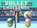 Ойын Volley Challenge