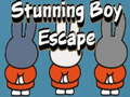 Ойын Stunning Boy Escape