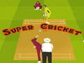 Ойын Super Cricket 