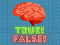 Ойын True! False! 