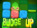 Ойын Budge Up