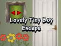 Ойын Lovely Tiny Boy Escape