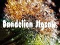 Ойын Dandelion Jigsaw