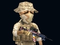 Ойын Rush Team