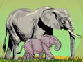 Ойын Wild Animals and Their Babies