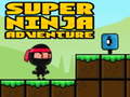 Ойын Super Adventure Ninja