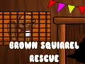 Ойын Brown Squirrel Rescue