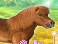 Ойын My Dear Pony