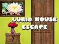 Ойын Lurid House Escape