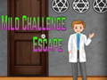 Ойын Amgel Mild Challenge Escape