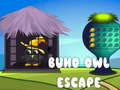 Ойын Buho Owl Escape