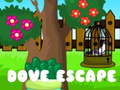 Ойын Dove Escape