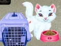 Ойын Baby Taylor Pet Care