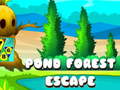 Ойын Pond Forest Escape