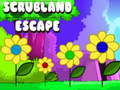 Ойын Scrubland Escape