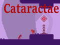 Ойын Cataractae