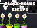 Ойын Black House Escape