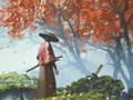 Ойын Samurai Reflexion