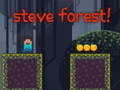 Ойын Steve Forest