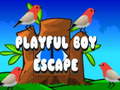 Ойын Playful Boy Escape