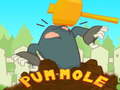 Ойын Pum-Mole