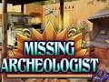 Ойын Missing Archeologist