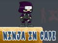 Ойын Ninja in Cape