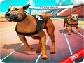 Ойын Crazy Dog Race