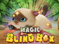 Ойын Magic Blind Box