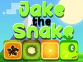 Ойын Jake The Snake