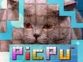 Ойын PicPu Cat 