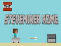 Ойын Steveminer Home