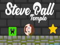 Ойын Steve Ball Temple