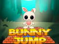 Ойын Bunny Jump