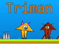 Ойын Triman