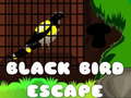 Ойын Black Bird Escape