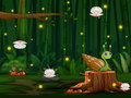 Ойын Snail Run