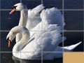 Ойын Animals Slide Puzzle