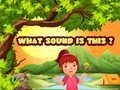 Ойын What Sound Is This?