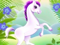 Ойын Blair Unicorn