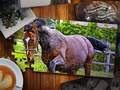 Ойын Jigsaw Puzzle Horses Edition