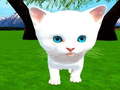 Ойын Cutie cat