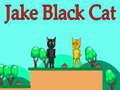 Ойын Jake Black Cat