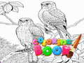Ойын Coloring Book for Adults