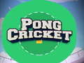 Ойын Pong Cricket