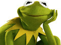 Ойын Coloring Book For Kermit the Frog 