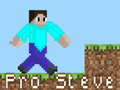 Ойын Pro Steve